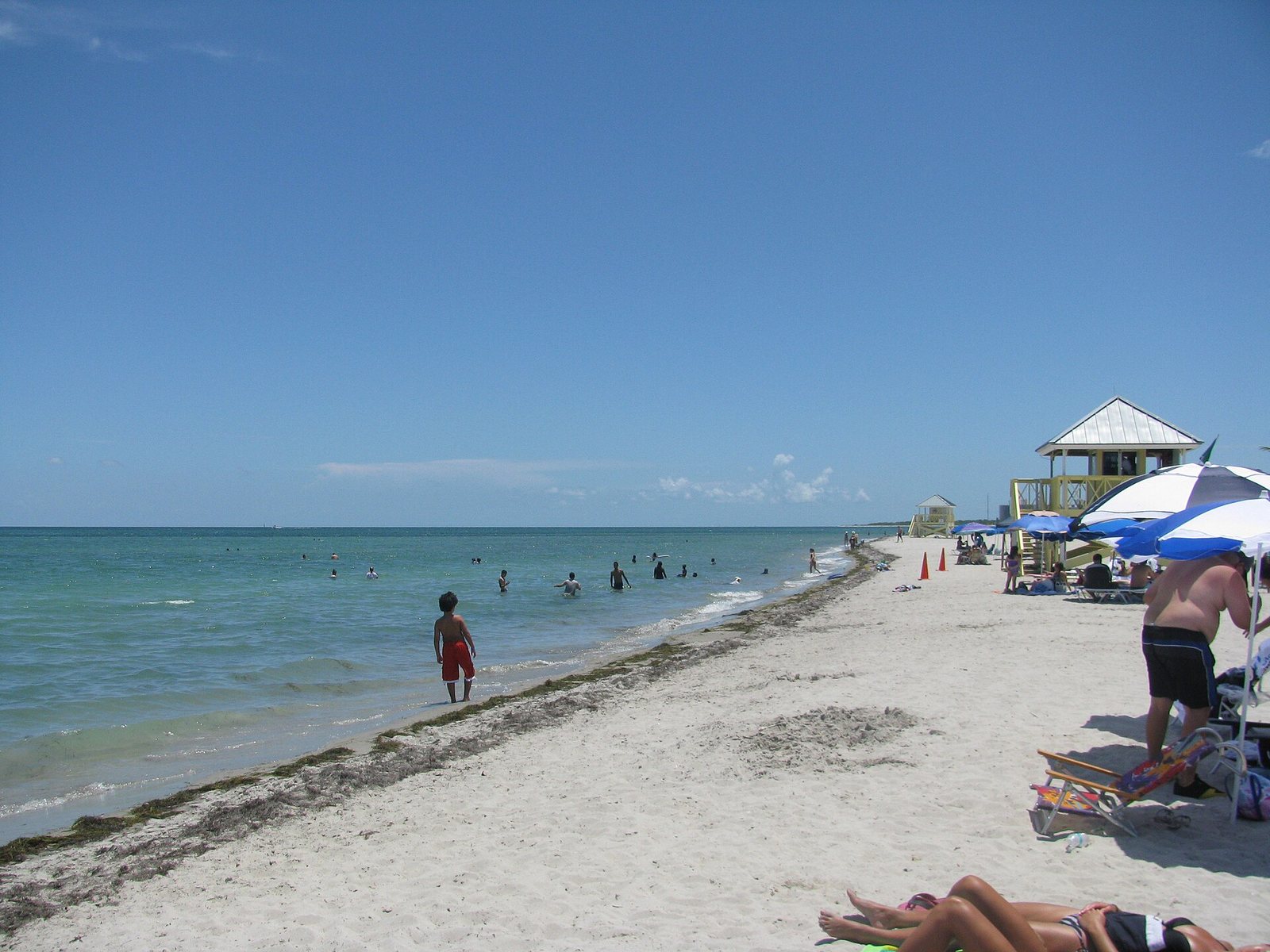Sand, palm trees and ocean at Crandon Park Beach on Key Biscayne.