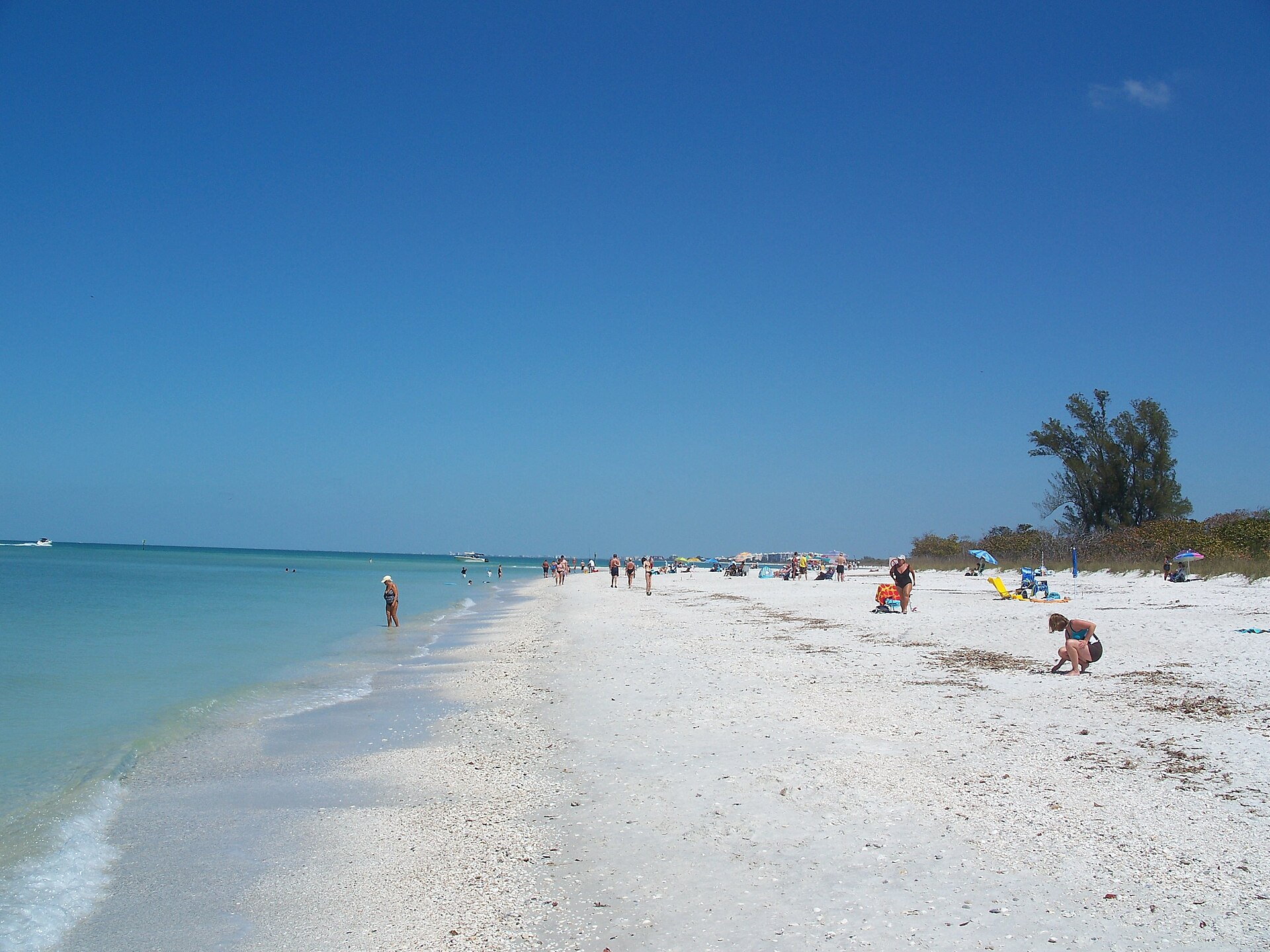 White sand, calm water and coastal vegetation at Delnor-Wiggins Pass State Park.