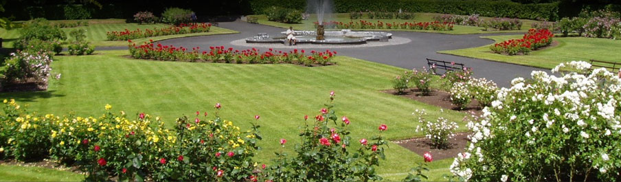 A landscaped garden maintained by Miami Landscaping.